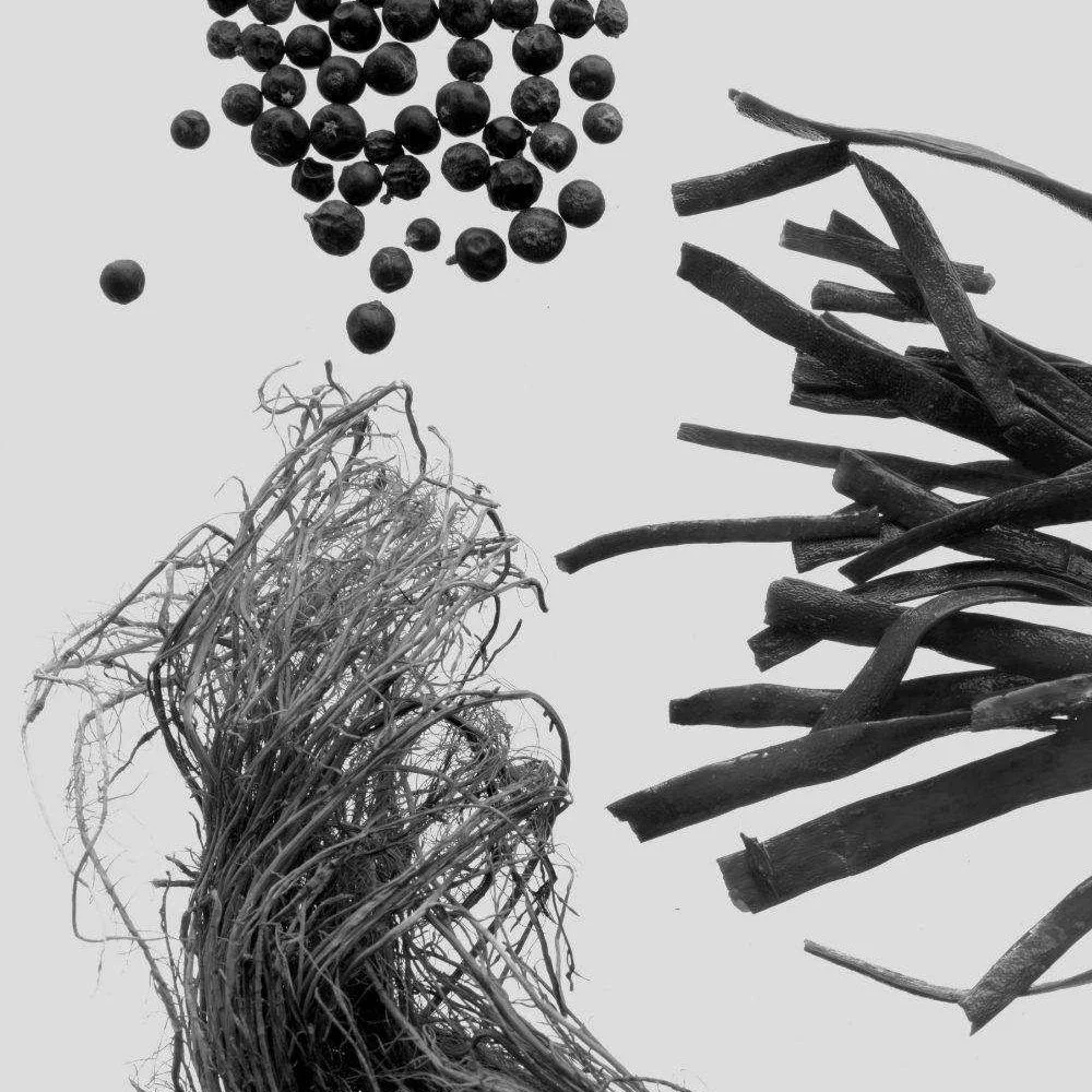 250325_GENYUM_composicion_painter