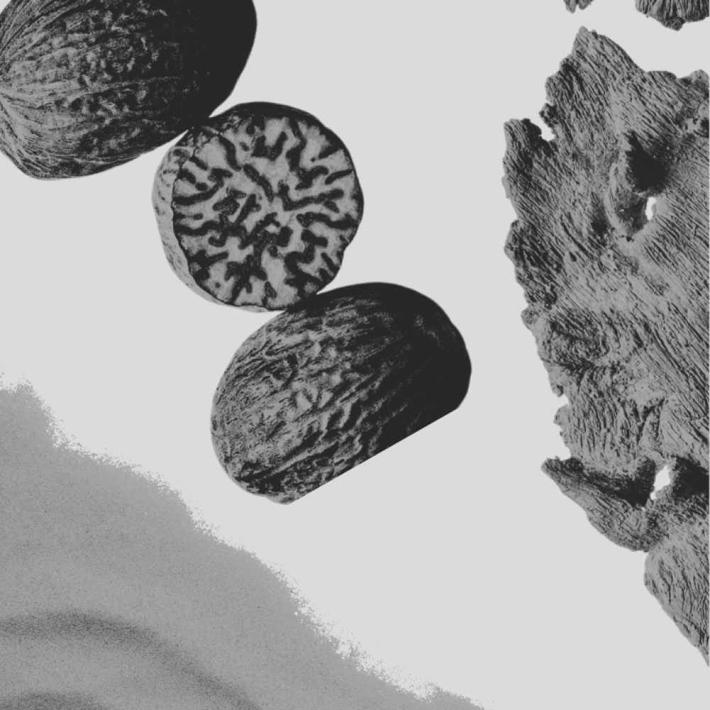 Photographer Elements