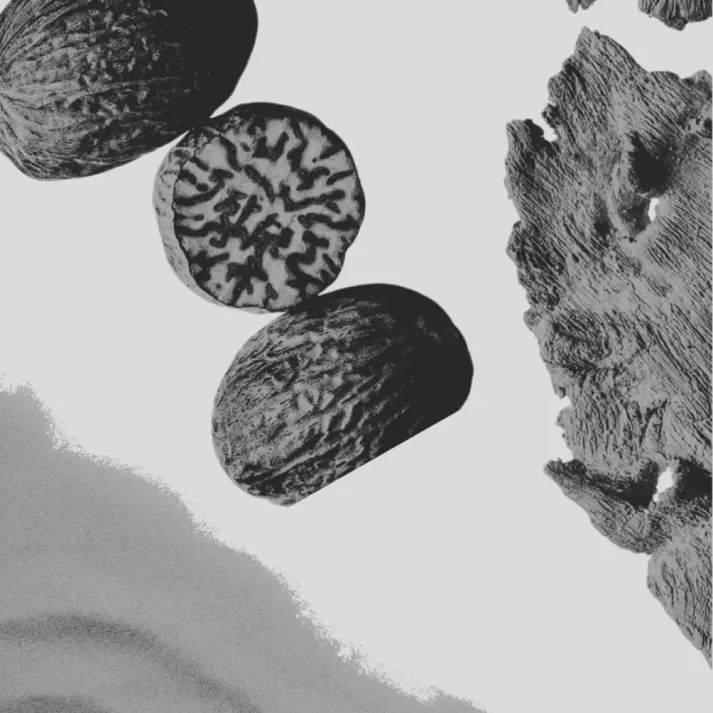 Photographer Elements